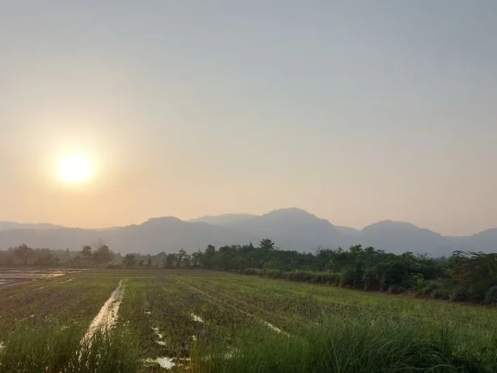 ขายที่นาเขต แม่สาย เชียงราย วิวดอยนางนอนเต็มๆ