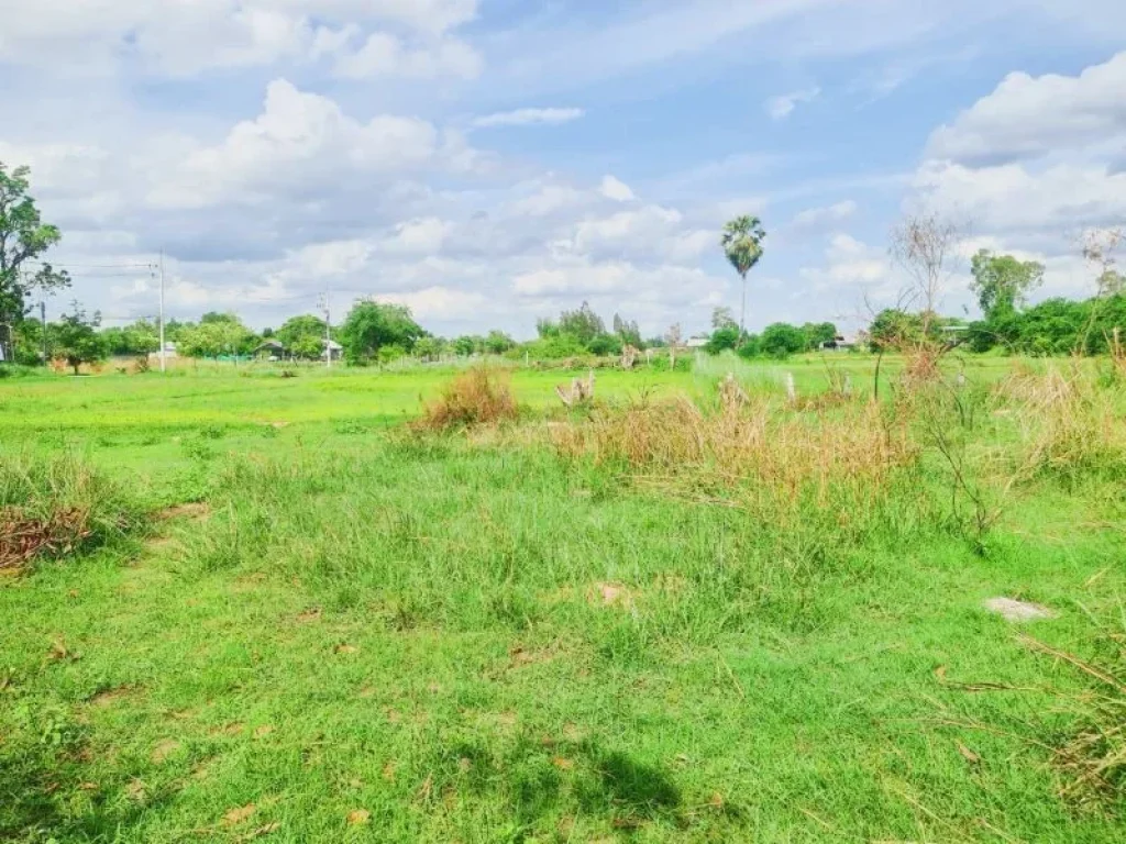 บ้านเดี่ยว ให้เช่า สายไหม มบมัณฑนา เลค วัชรพล สุขาภิบาล 5