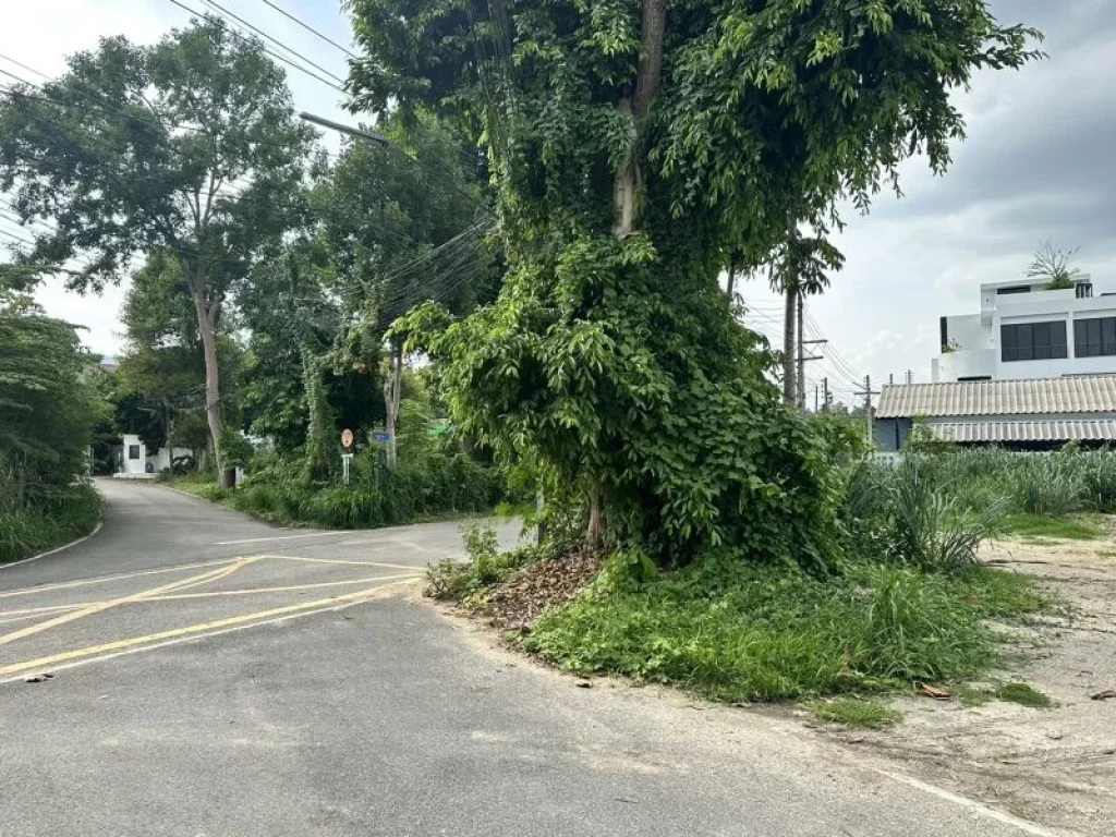 ขายที่ดินบ้านแพะเจ็ดยอดผังเมืองสีเหลืองติดถนนสองด้านพร้อมโอน