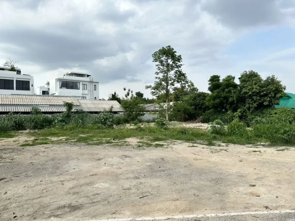 ขายที่ดินบ้านแพะเจ็ดยอดผังเมืองสีเหลืองติดถนนสองด้านพร้อมโอน