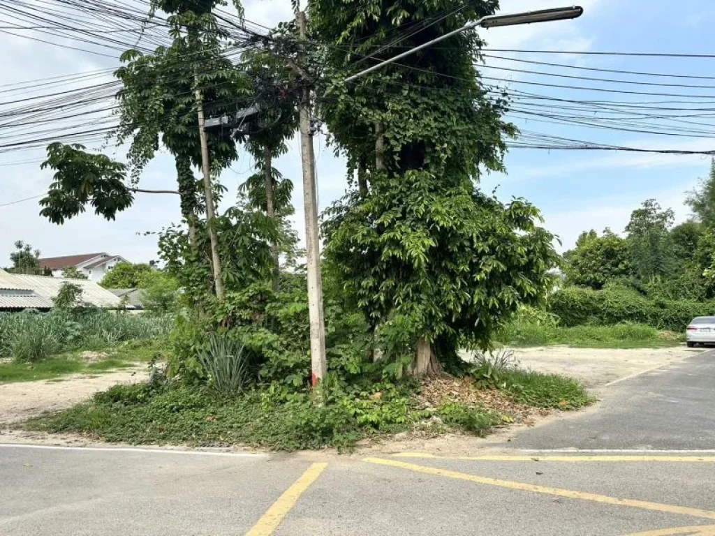 ขายที่ดินบ้านแพะเจ็ดยอดผังเมืองสีเหลืองติดถนนสองด้านพร้อมโอน