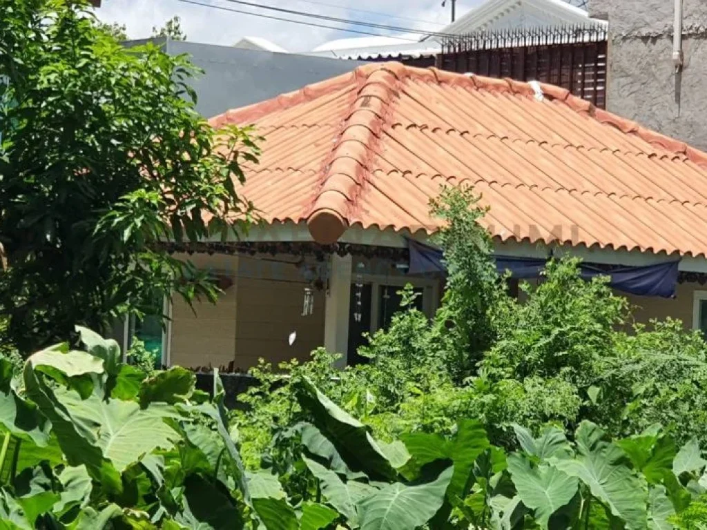 ที่ดินอ่อนนุช ซอยแม่ทองคำ พระโขนง กรุงเทพมหานคร