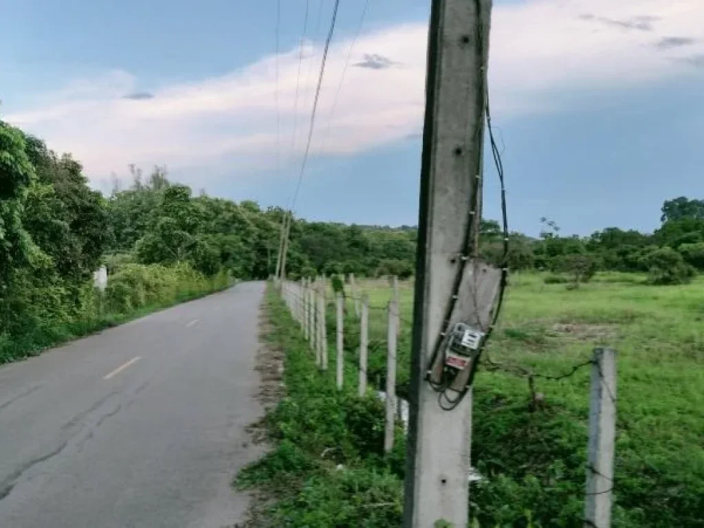 ขายที่สวนบ้านป่าเมี่ยงดอยสะเก็ตหลังติดน้ำแม่วะโฉนดพร้อมโอน