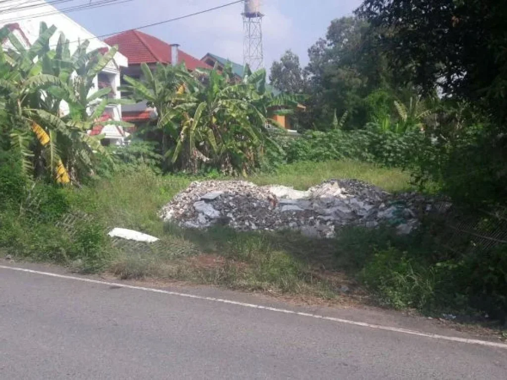 ขายที่ดินตำบลแม่เหียะห่างถนนหลักเพียง 100เมตรพร้อมโอน