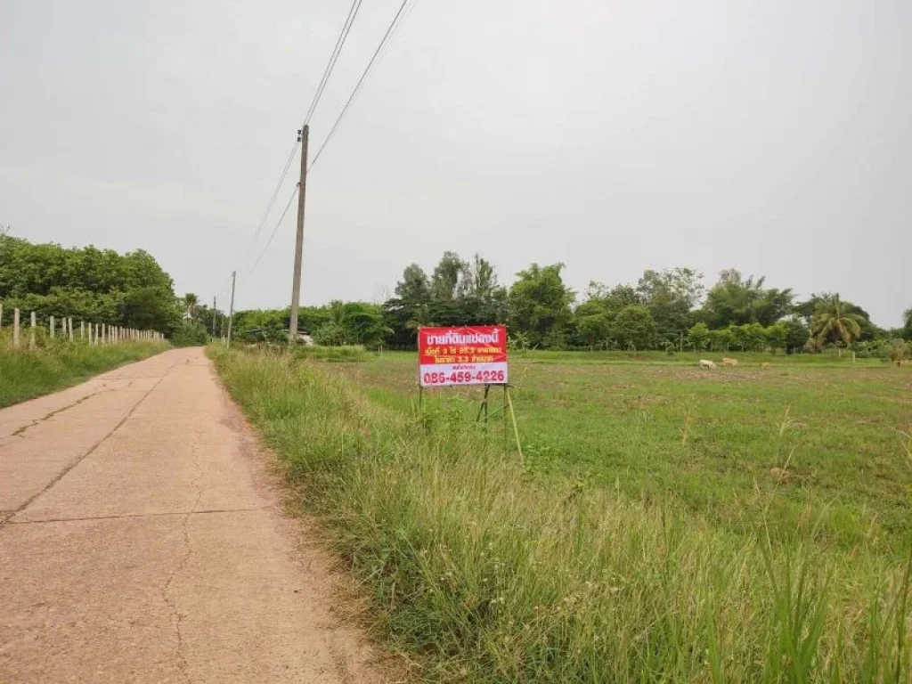 ขายที่ดินในอำเภอโพนพิสัย พิกัดหลังโรงเรียนชุมพลโพนพิสัย