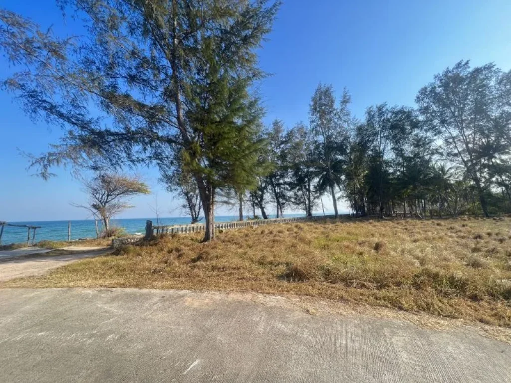 ขายที่ดินติดทะเลหาดบ้านกรูด บางสะพาน จังหวัดประจวบ เนื้อที่