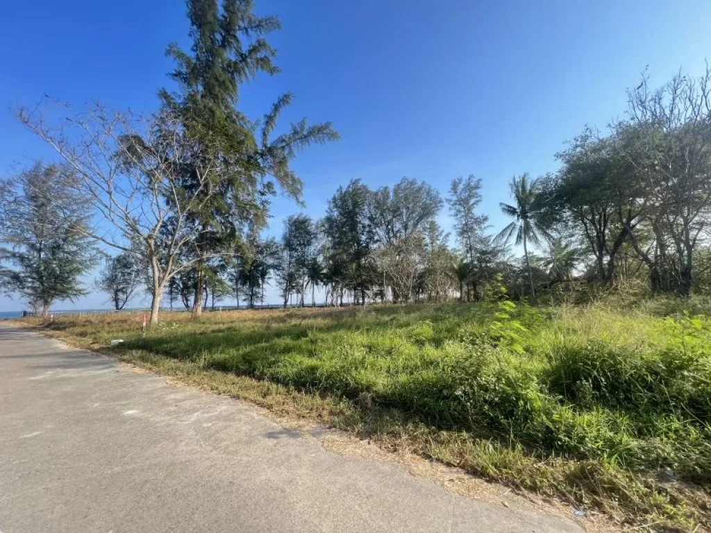 ขายที่ดินติดทะเลหาดบ้านกรูด บางสะพาน จังหวัดประจวบ เนื้อที่