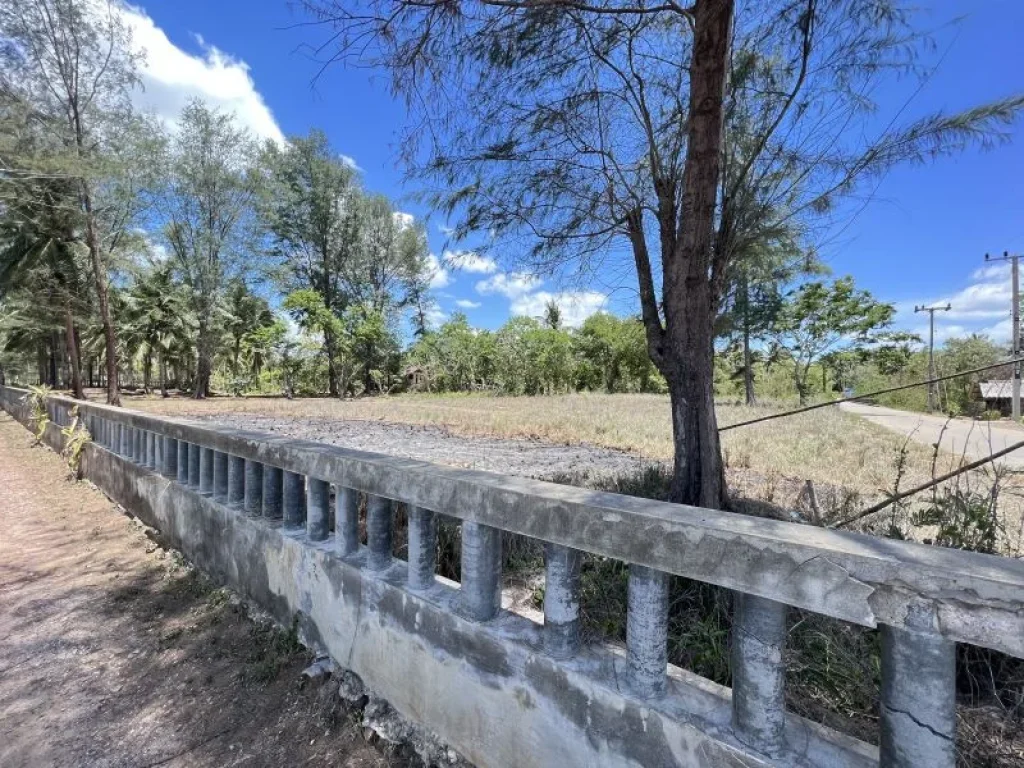 ขายที่ดินติดทะเลหาดบ้านกรูด บางสะพาน จังหวัดประจวบ เนื้อที่