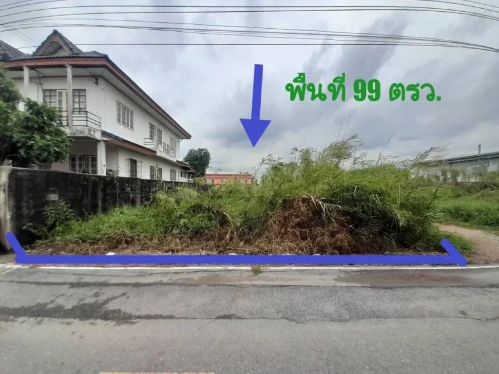 ขายที่ดิน ติดถนนบางกรวย-ไทรน้อย แปลงสวย 99 ตรว