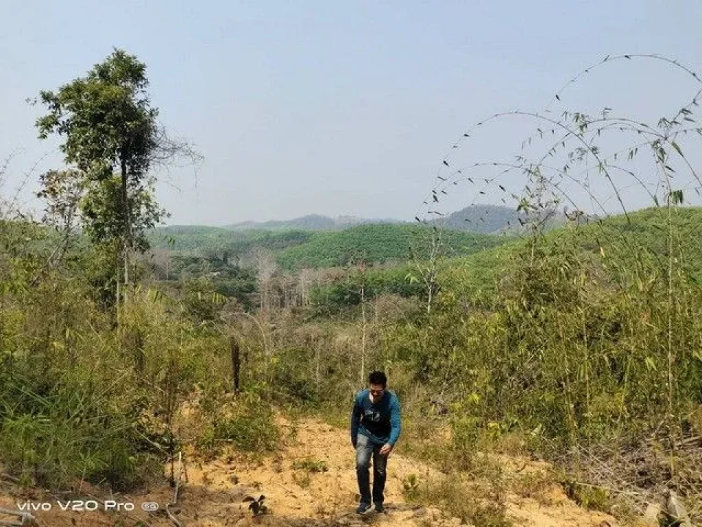 SALE ขาย ที่ดิน ที่ดิน ตพงษ์ อสันติสุข จน่าน 36500000 -