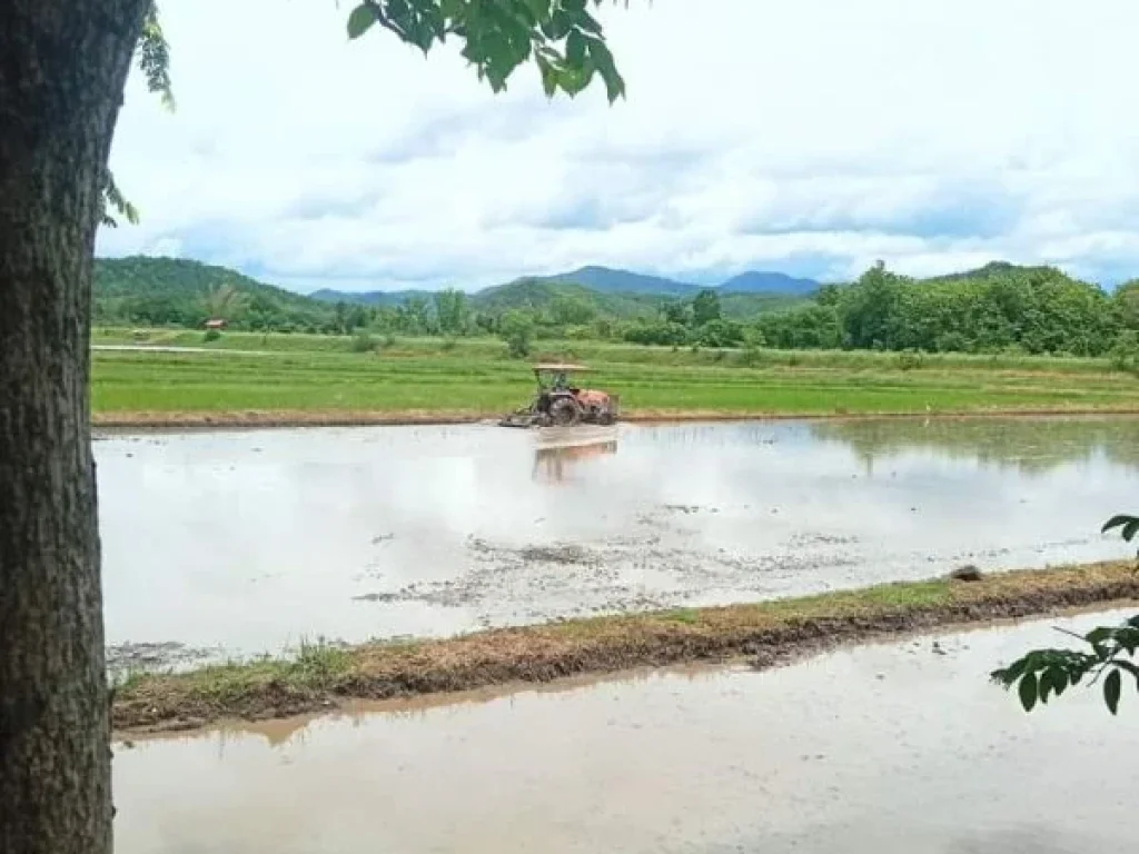 ที่ดินแปลงสวย หน้าติดถนนสายหลัก หลังติดคลอง อุตรดิตถ์