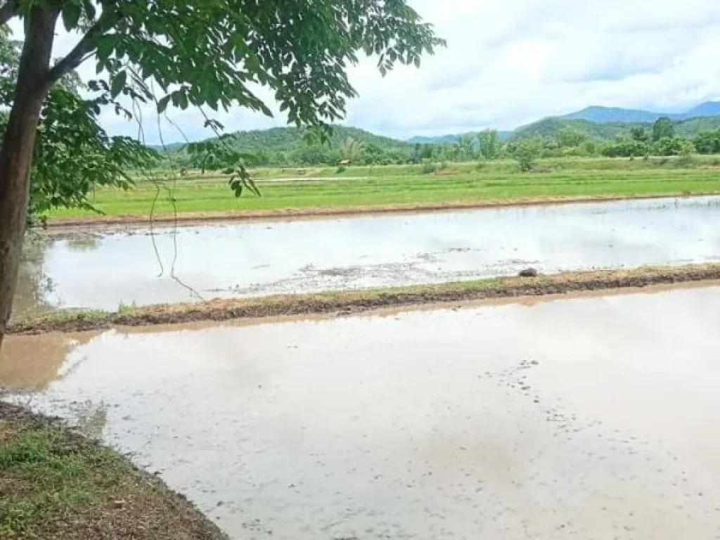 ที่ดินแปลงสวย หน้าติดถนนสายหลัก หลังติดคลอง อุตรดิตถ์