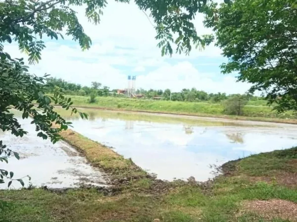 ที่ดินแปลงสวย หน้าติดถนนสายหลัก หลังติดคลอง อุตรดิตถ์