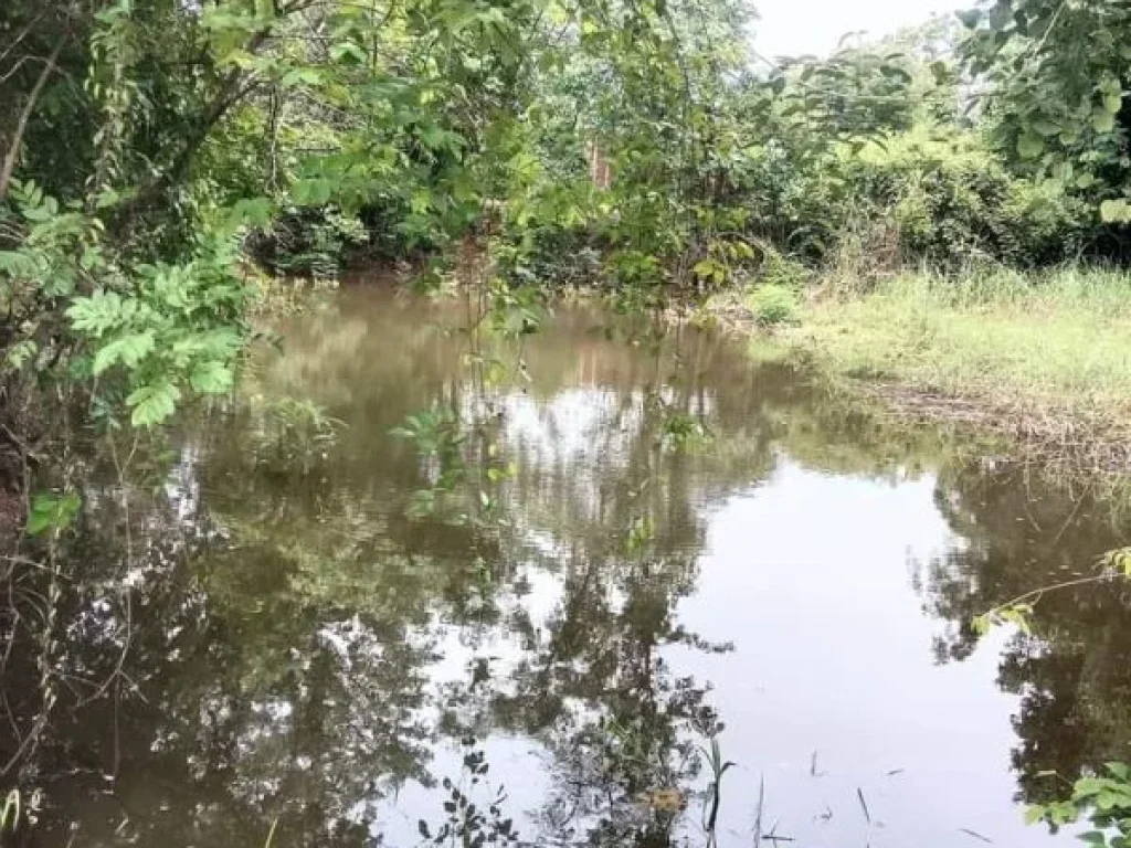 ที่ดินแปลงสวย หน้าติดถนนสายหลัก หลังติดคลอง อุตรดิตถ์