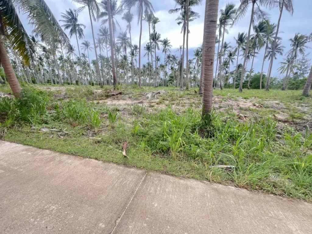 ขายที่ดินห่างทะเลหาดบ้านกรูด 100 เมตร เนื้อที่ 15 ไร่