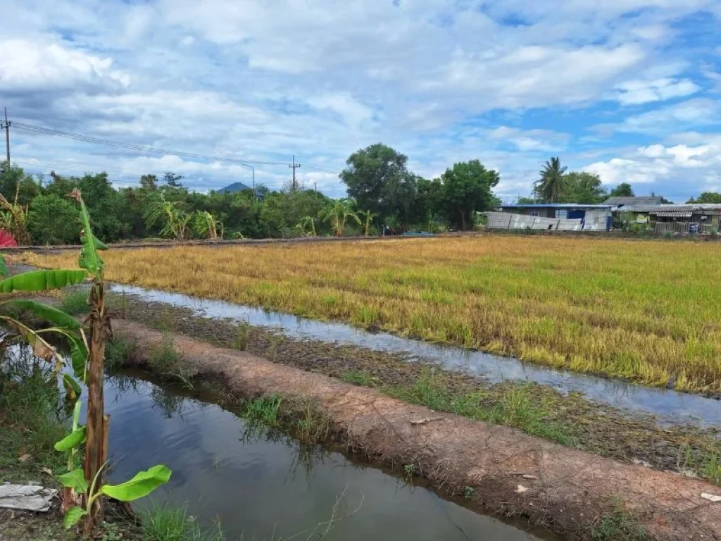 ที่ดินเปล่า 10-0-2 ไร่ อลาดหลุมแก้ว จปทุมธานี