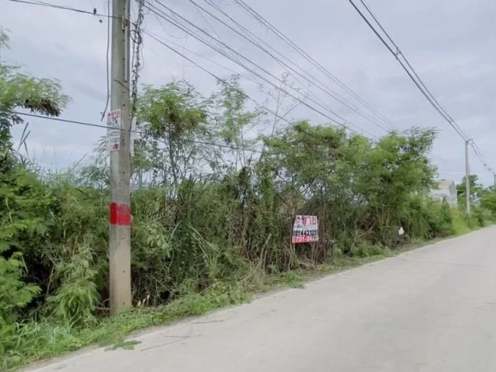 ขายที่ดิน ซอยคลองสาม117 ถนนรังสิต-นครนายก เลียบคลอง3 พื้นที่