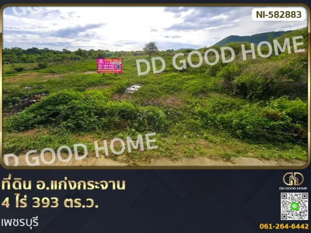 ที่ดิน อแก่งกระจาน 4 ไร่ 393 ตรว เพชรบุรี