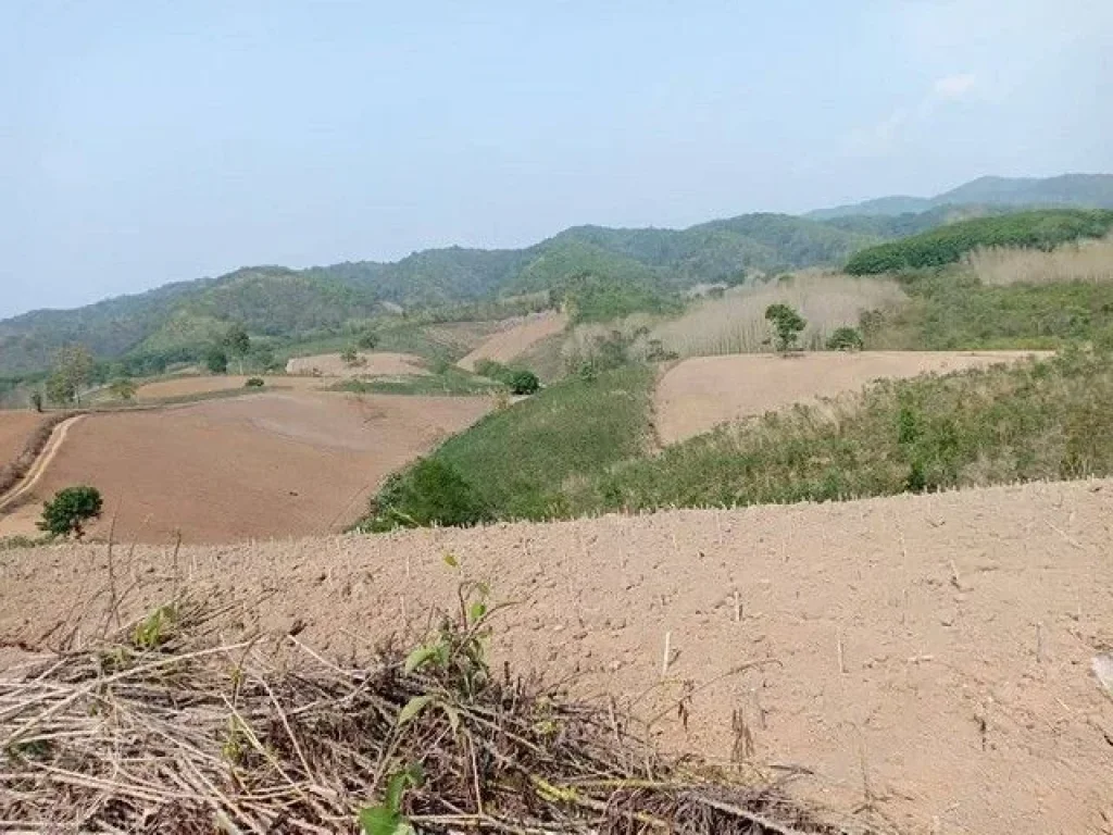 ขายที่ดินบนเนินเขา และที่ราบสลับซับซ้อนกันแปลงใหญ่ อทุ่งช้าง