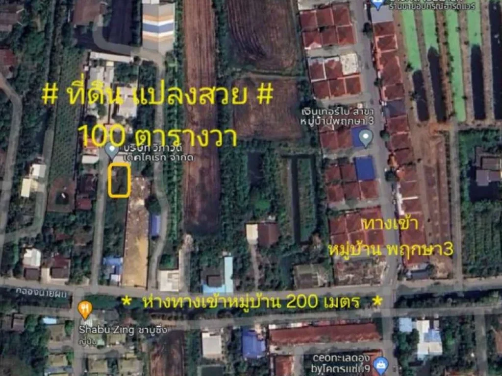 ขายที่ดิน ซอยวัดลาดปลาดุก บางบัวทอง พื้นที่ 100 ตรว แปลงสวย