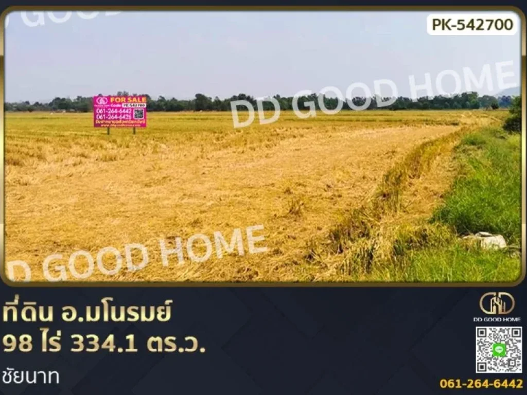 ที่ดิน อมโนรมย์ 98 ไร่ 3341 ตรว ชัยนาท