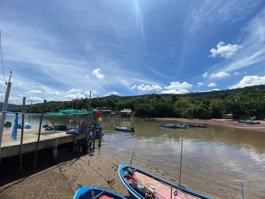 ที่ดินเปล่า หาดศาลเจ้า จตราด 4-2-2 ไร่ ที่ติดหาดสวยมาก