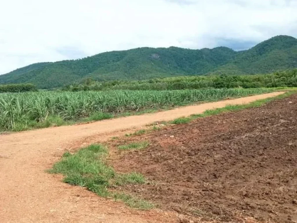 ที่ดินแปลงใหญ่ ที่ราบชายเขา วิวสวย ราคาถูก อุตรดิตถ์