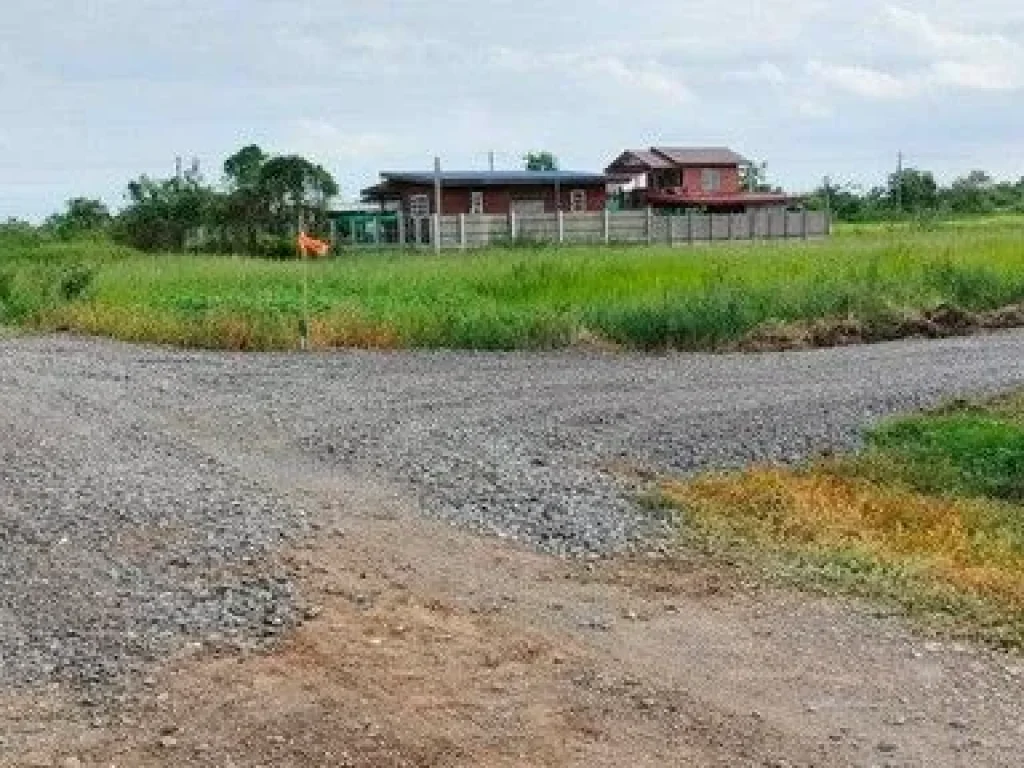 ขายที่ดินคลองแปด บึงบอน11 หนองเสือ ปทุมธานี น้ำและไฟพร้อม