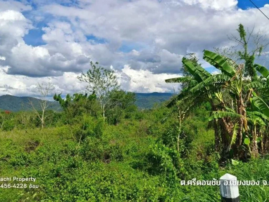 ขายที่ดิน 3098 ตรว ติดถนนเอเชียสาย 3 ใกล้ด่านเชียงของ