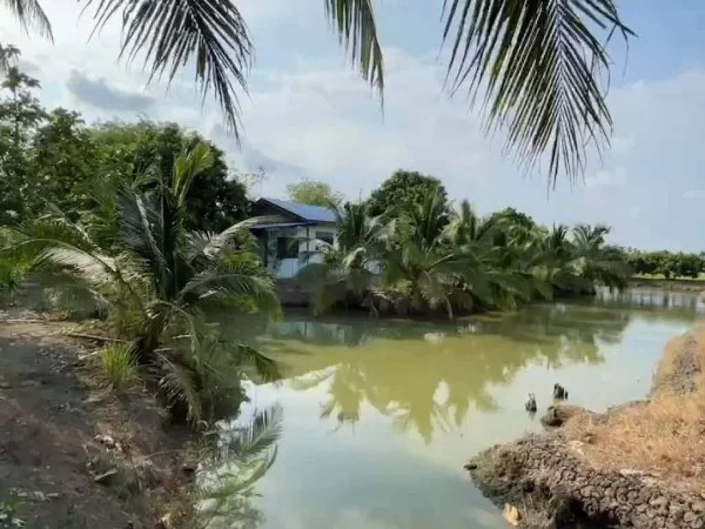 ขายที่ดิน 29 ไร่ เหมาะทำเกษตร ติดถนนคลอง ใกล้สี่แยกสวนส้ม