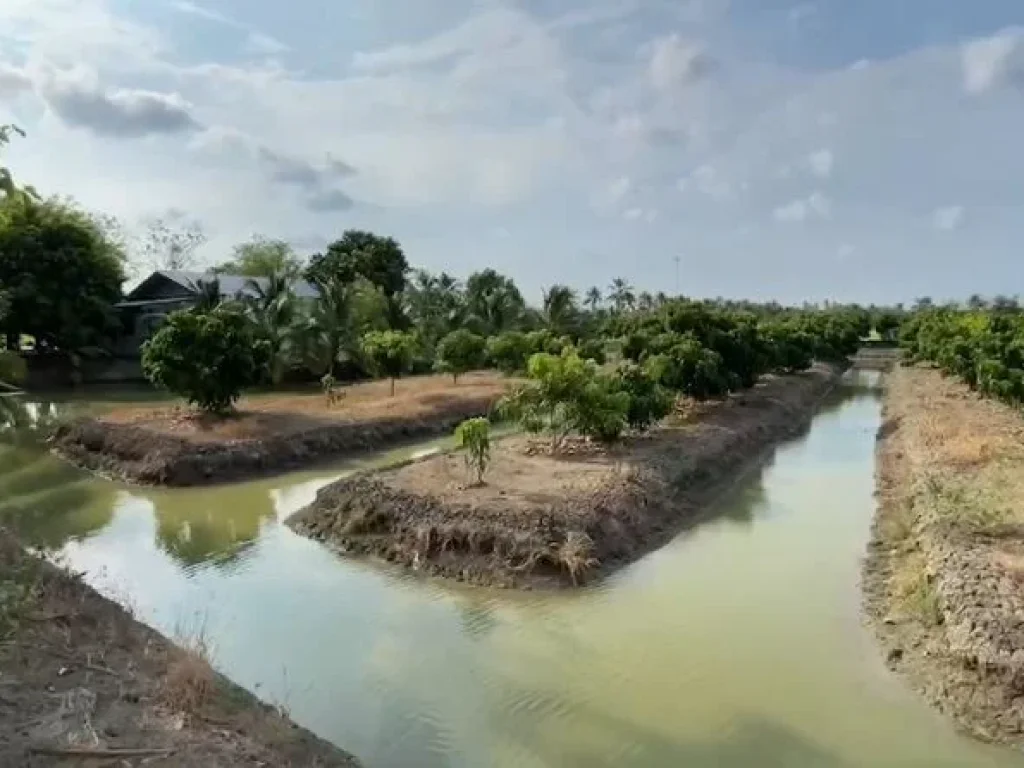 ขายที่ดิน 29 ไร่ เหมาะทำเกษตร ติดถนนคลอง ใกล้สี่แยกสวนส้ม