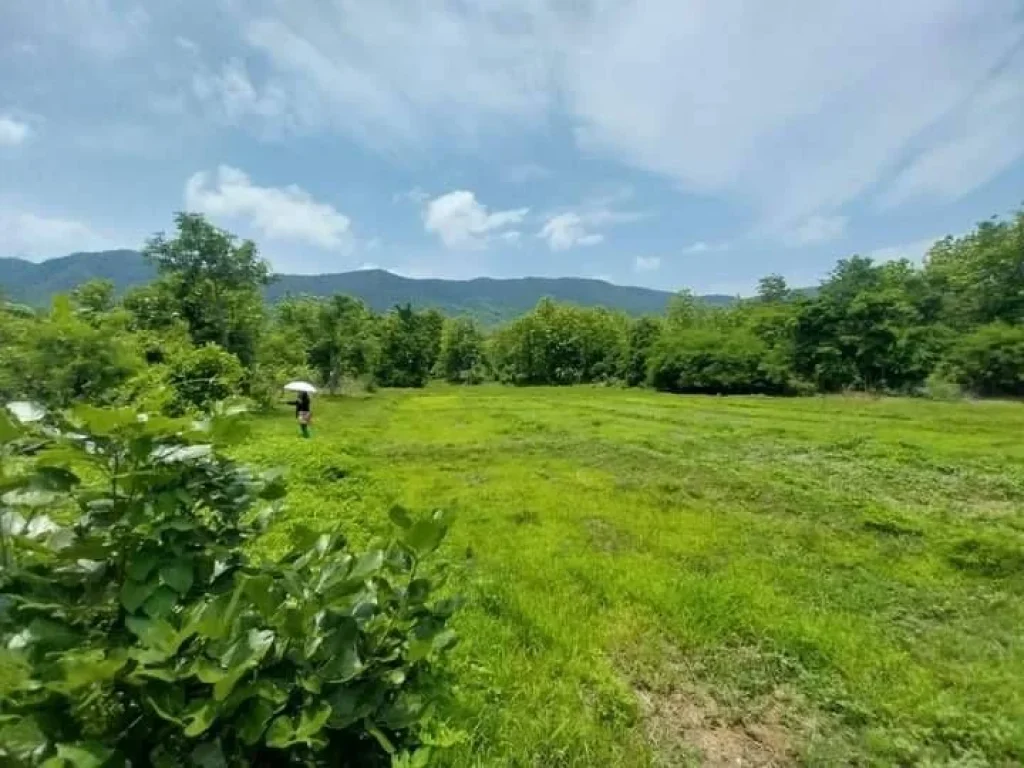 ขายที่ดินบ้านออนกลางแม่ออนสันกำแพงโฉนดพร้อมโอน