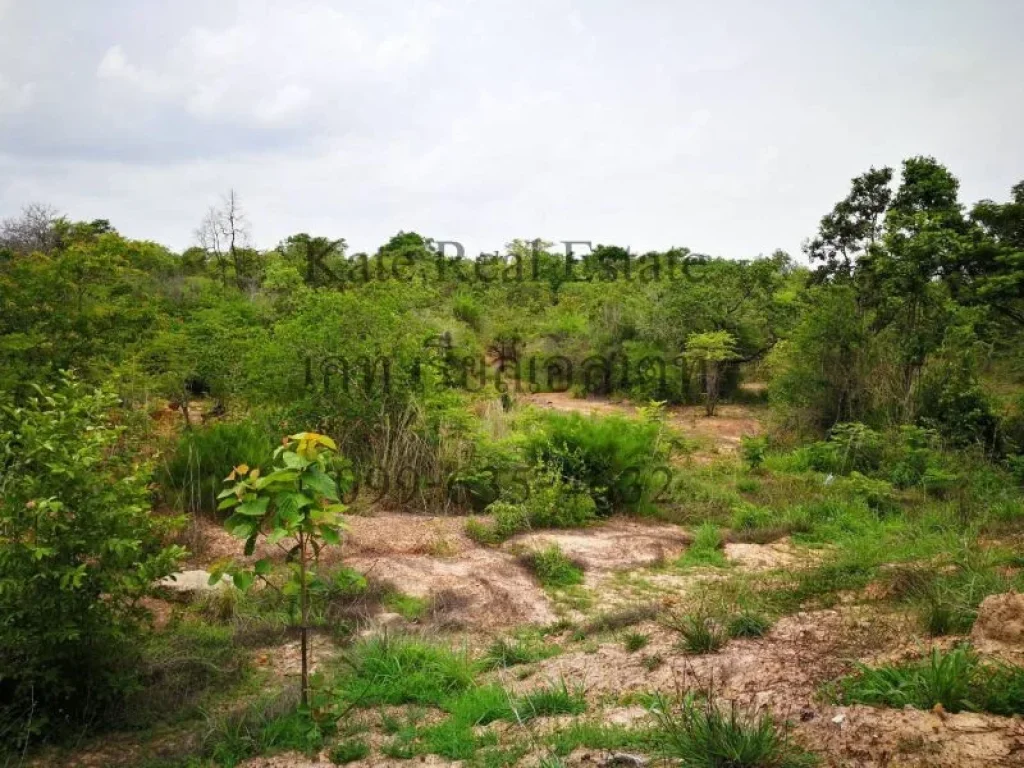 ขายที่ดินพิบูลมังสาหาร จังหวัดอุบลราชธานี