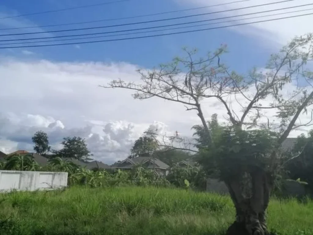 ขายที่ดินในโครงการรอยัลวิลล์สันผักหวานหางดงโฉนดพร้อมโอน