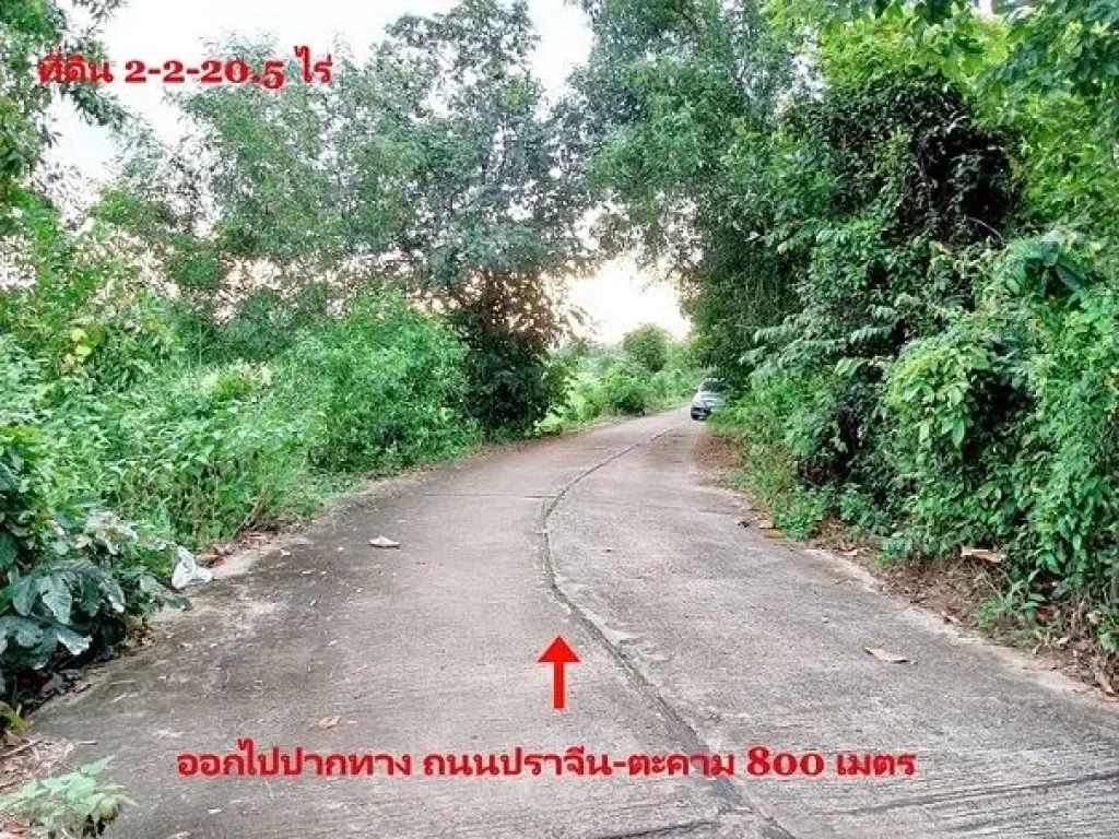 ขาย ที่ดิน 2-2-205 ไร่ ใกล้ถนนปราจีน-ตะคาม เพียง 800 เมตร