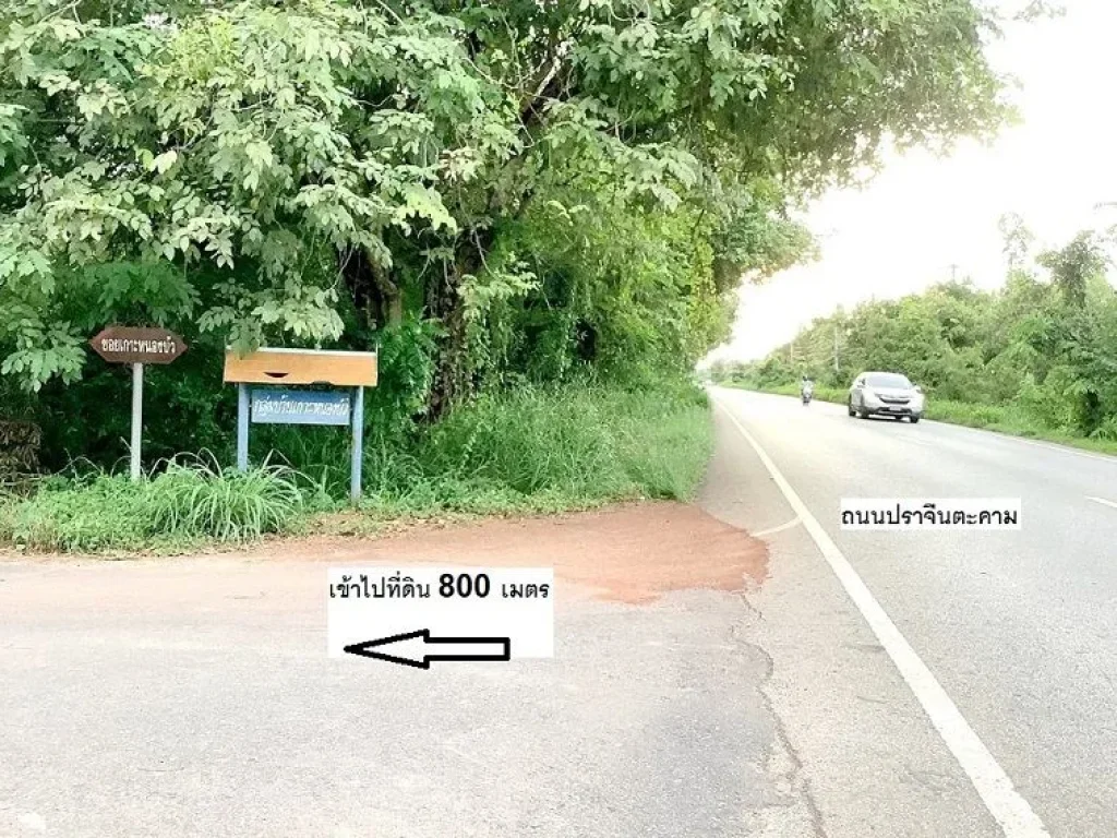 ขาย ที่ดิน 2-2-205 ไร่ ใกล้ถนนปราจีน-ตะคาม เพียง 800 เมตร