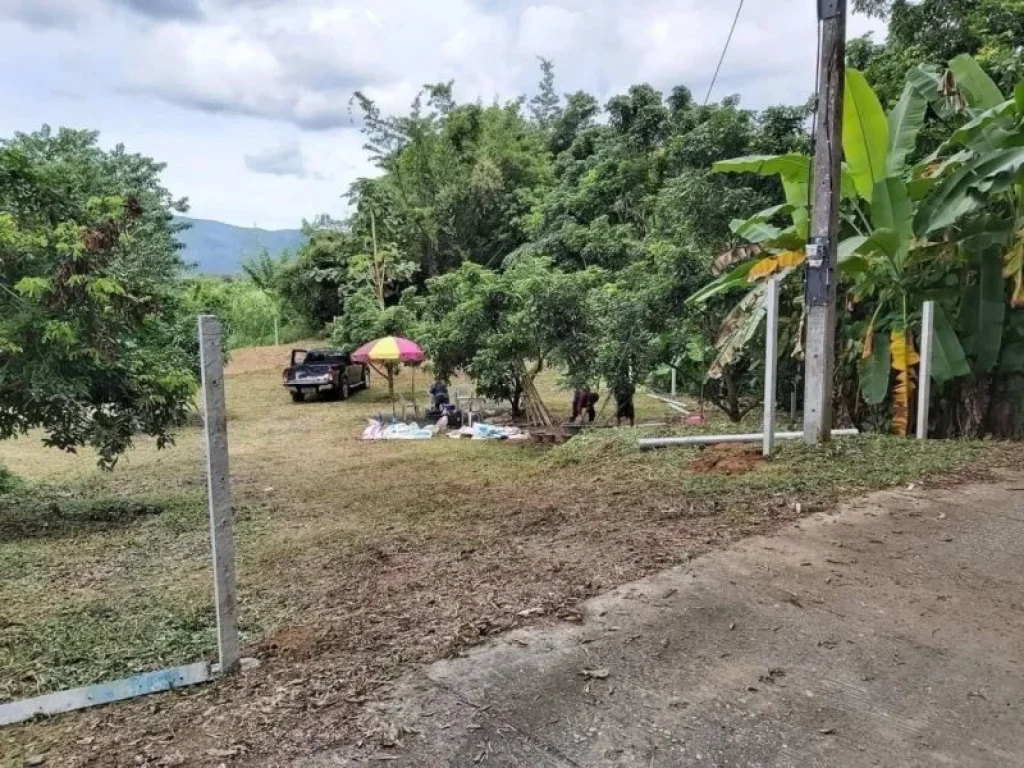 ขายที่ดินเนื้อที่ 289ตรว ติดถนนคอนกรีต หลังติดลำห้วย