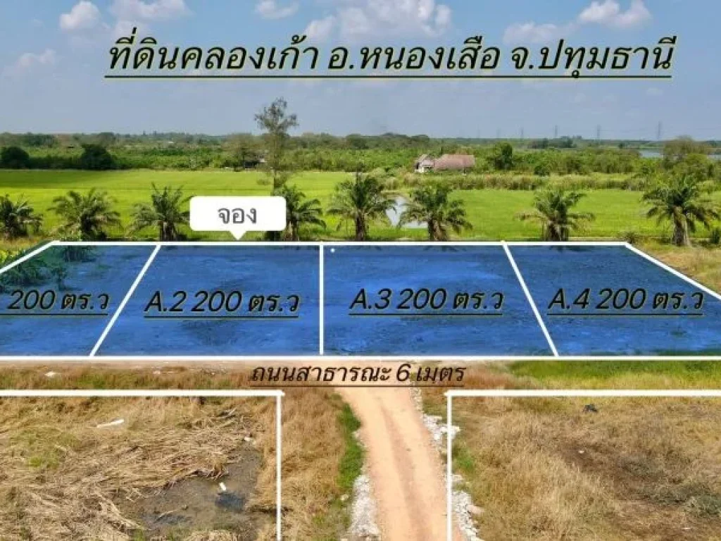 ขายที่ดิน คลอง 9 เนื้อที่ 200 ตรว ถมแล้ว หนองเสือ ปทุมธานี