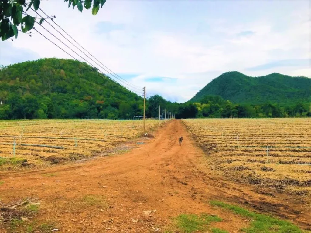 ขายที่ดินเมืองกาญจนบุรี ติดริมน้ำ 10 ไร่ 76 ตรว แปลงมุม