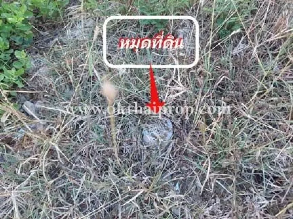 ที่ดิน ถคลองเทียน ตชะอำ อชะอำ จเพชรบุรี