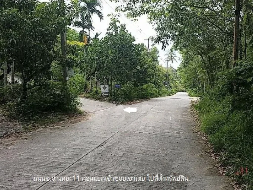 ขายที่ดิน29-1-78ไร่ ตำบลอ่างทอง อำเภอเกาะสมุย