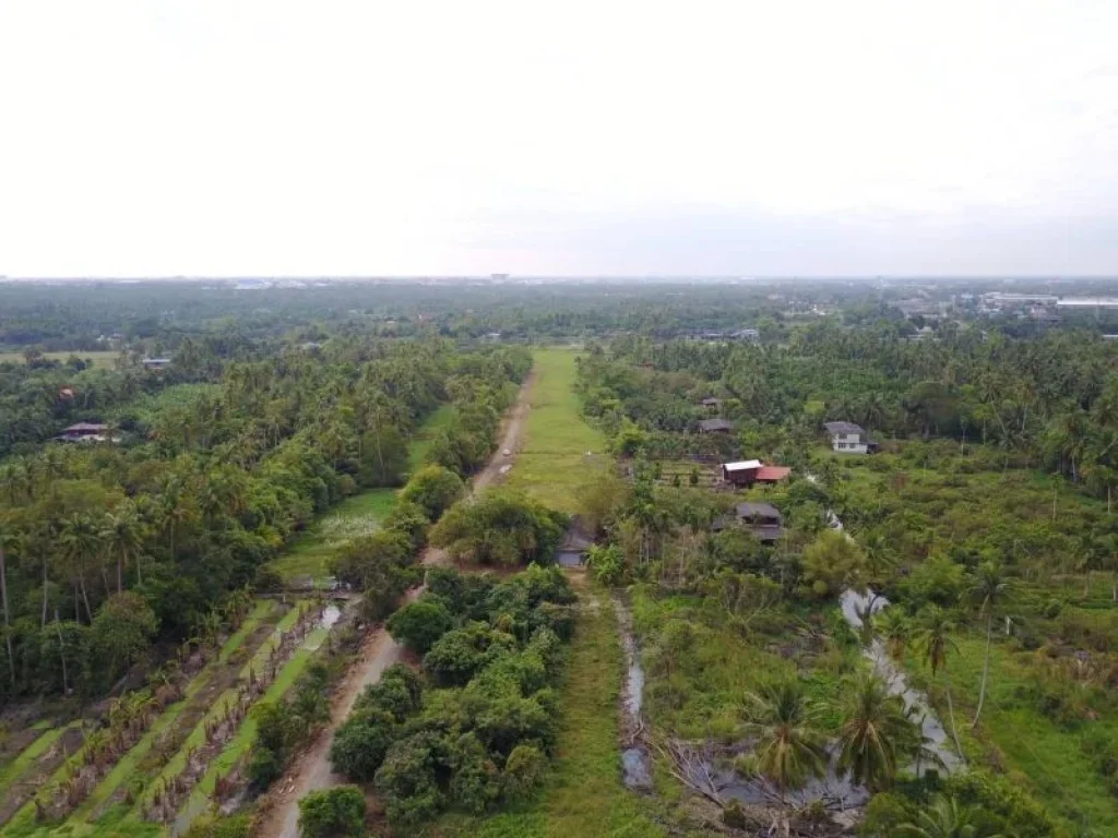 ขายที่ดิน อ สามพราน วิวแม่น้ำท่าจีน ขนาด 20 ไร่