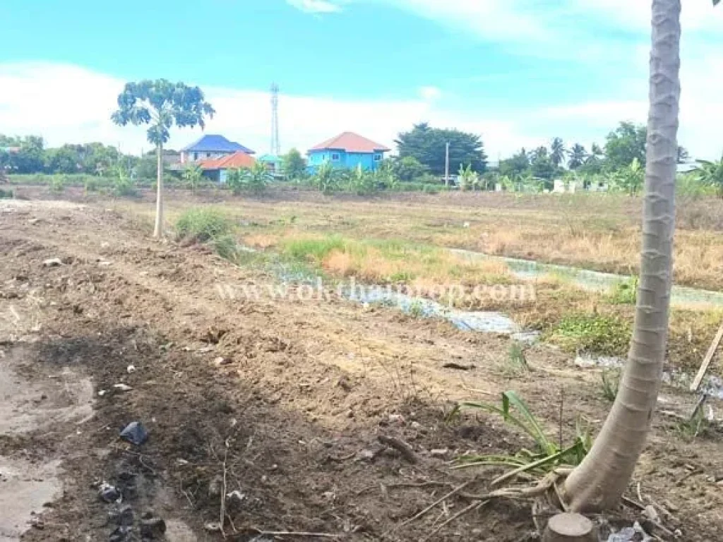 บ้านพร้อมที่ดิน ตบางแม่นาง อบางใหญ่ จนนทบุรี