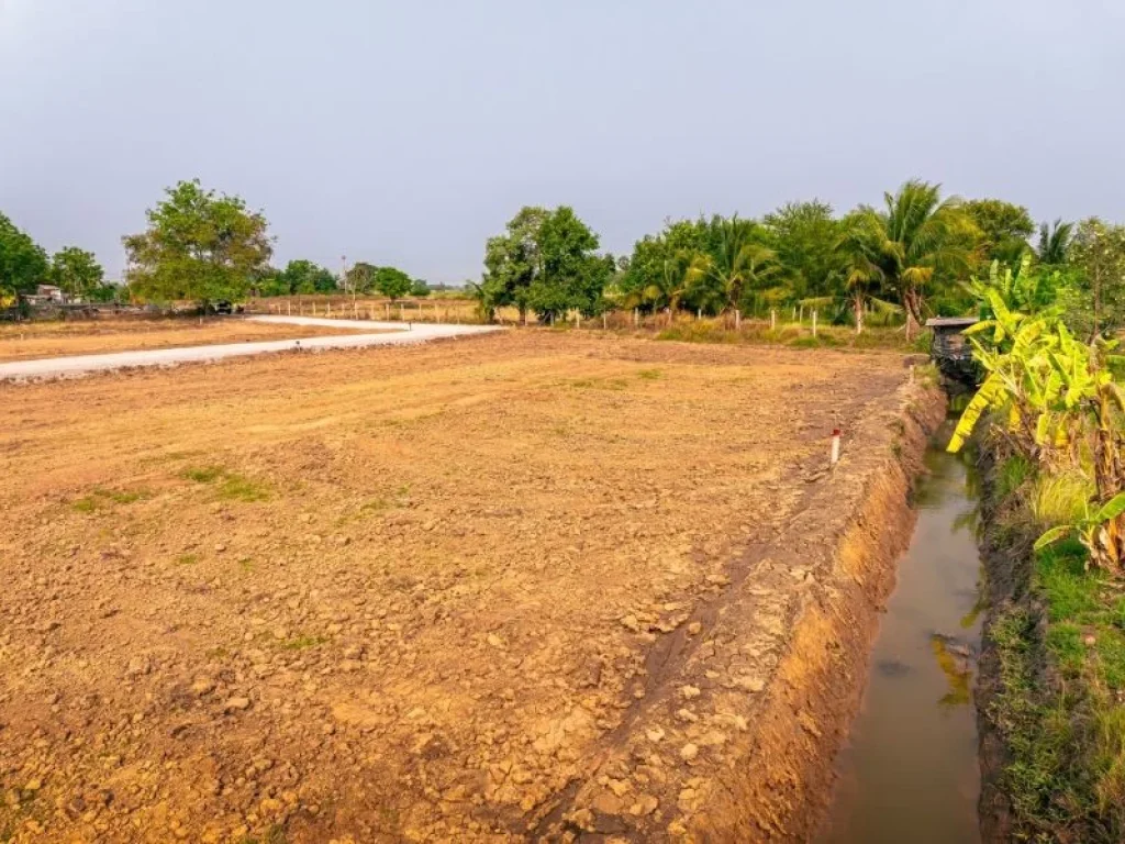 ขายที่ดิน 100 ตรวโครงการ Pho Thong Garden 2 โพธิ์ทอง อ่างทอง