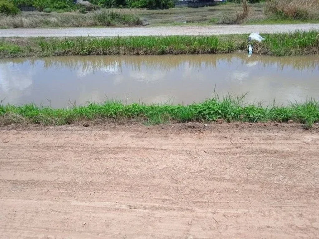 ขายที่ดิน อำเภอเชียงแสนจังหวัดเชียงราย ที่นา น้ำอุดมสมบูรณ์