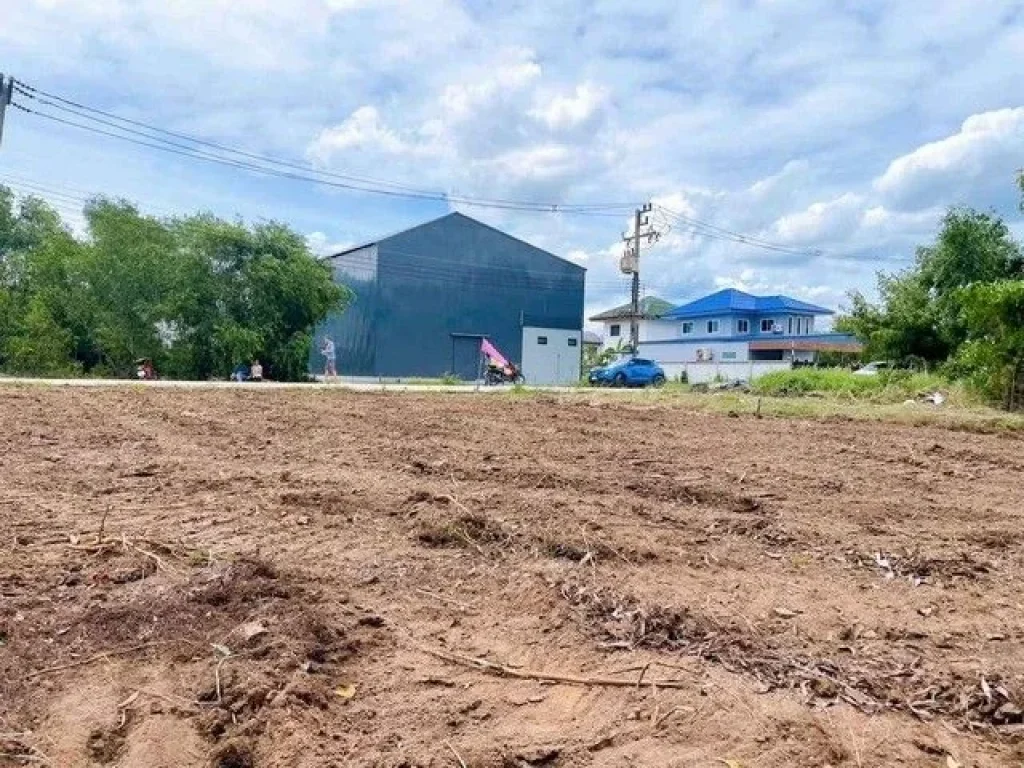 ขายที่ดินคลอง11 หนองเสือ ปทุมธานี น้ำไฟพร้อมหมด ติดถนนคอนกรีต