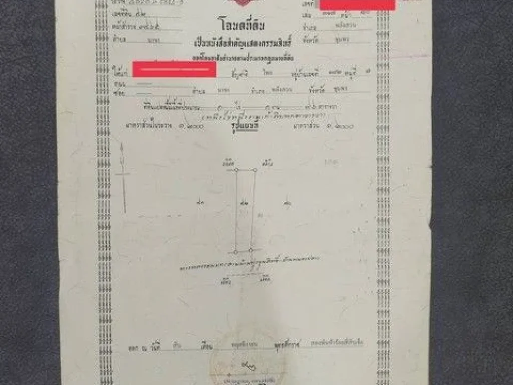 ขายที่ดินทำเลทองพร้อมบ้าน และสวนปาล์ม 1 ไร่ 1 งาน 96 ตารางวา