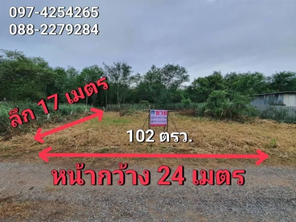 ขายที่ดิน 102 ตรว ขนงพระ ปากช่อง ใกล้ถมิตรภาพ 13 กม