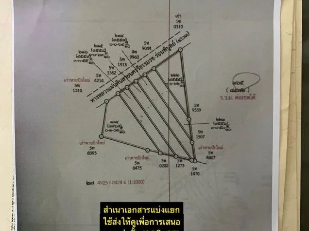 ขายที่ดินติดถนน4เลน45เมตรขนาด1ไร่ใกล้เซ็ลทรัลราคาเพียง7500