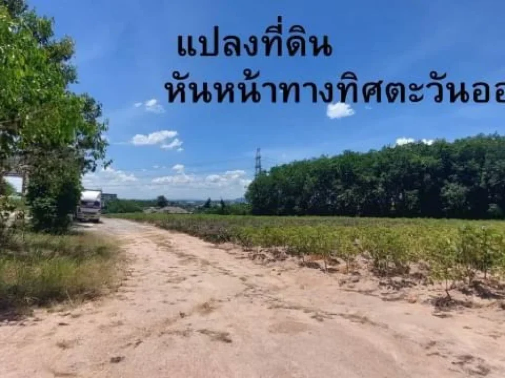 HL25772 ขาย ที่ดินทำเลใกล้เมือง เนื้อที่ 1 ไร่ 122 ตรว